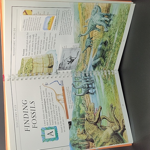 Set of Discovery Plus Children's Books - Picture 14 of 16